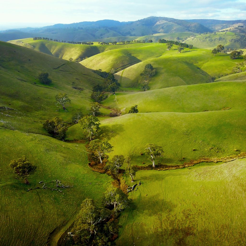 Barossa Valley Australia - We Tour Australia